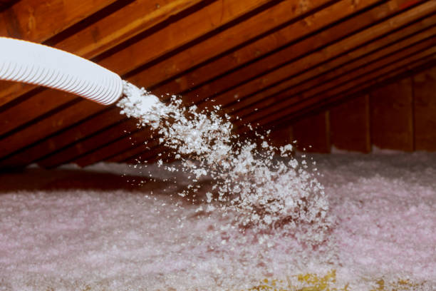 Best Residential Insulation in Whitney, SC
