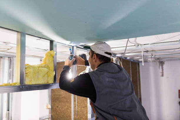 Best Insulation for Specific Applications in Whitney, SC